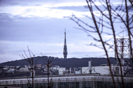 IMG_5693 copy